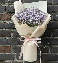 Букет цветов из:  Гипсофила в Беляную Гору
