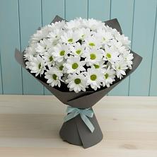 Букет цветов из:  Хризантемы в Беляную Гору