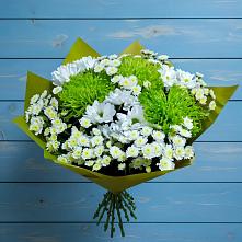 Букет цветов из:  Хризантемы в Беляную Гору