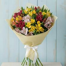 Букет цветов из:  Альстромерии в Беляную Гору
