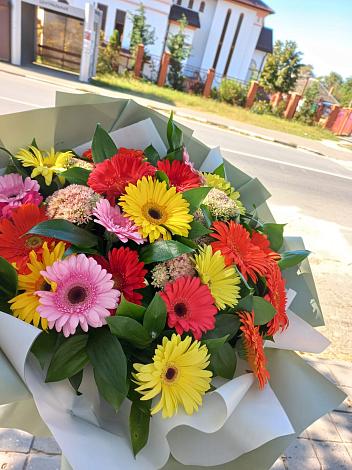 Букет цветов из: Герберы в Беляную Гору