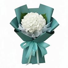 Букет цветов из:  Гортензия #REPLACE_PRED# Беляную Гору